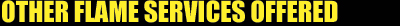 stunt, stunt performer, stunter, stunt coordinator, movie stunt, high fall, fire stunt, ratchet, harness, aerial stunt, acrobatic, slack line, high line, fx coordinator, spfx coordinator, virgin, red bull, Richard branson, tom comet